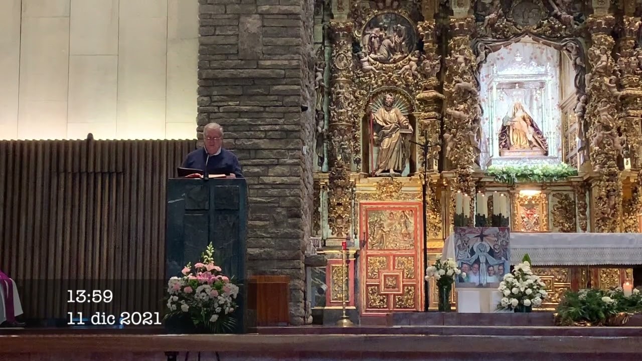 DOMINICOS 11 diciembre 2021
