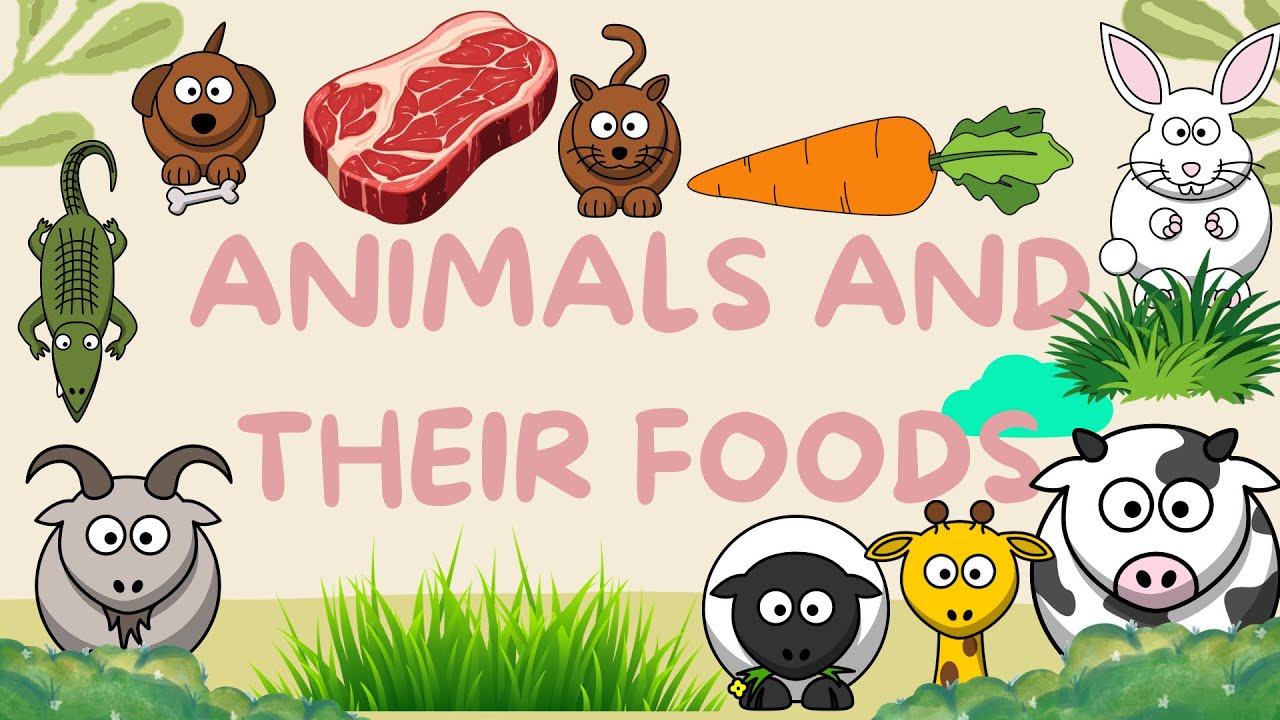 Animals and their food: meat, deer, fish, carrot, grass - Animals