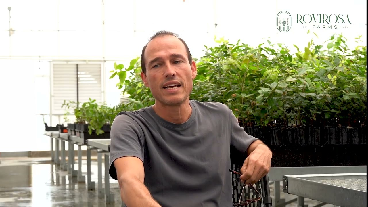 Truffle Cultivation in the U.S. — Insights from 30 Years of Experience