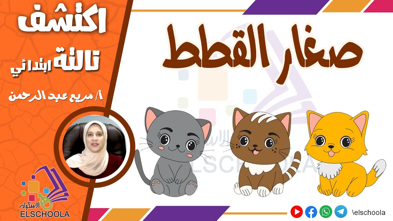 صغار القطط - اكتشف تالتة ابتدائي | شرح مبسط للصف الثالث الابتدائي | الاسكوله