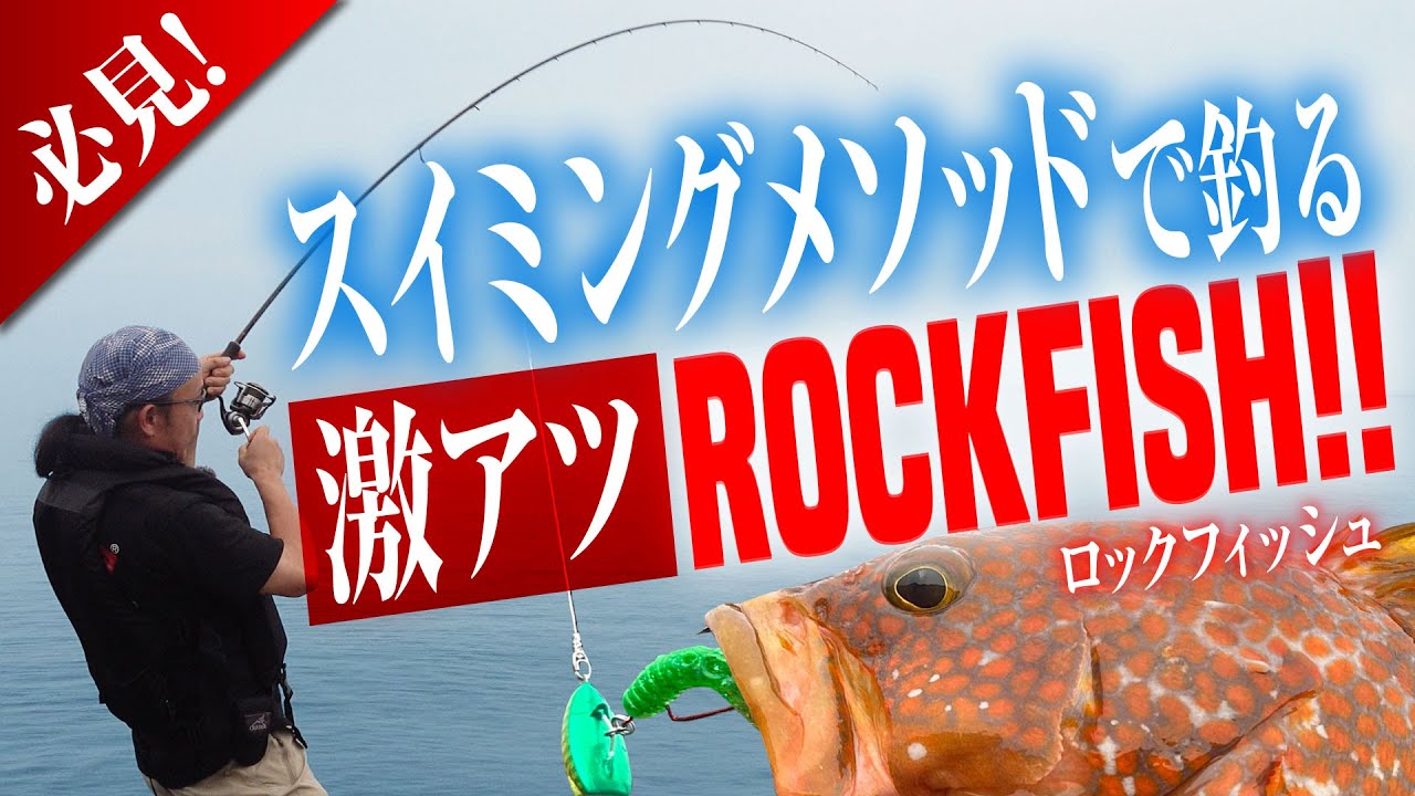 【 ロックショア 】スイミングで釣る根魚は激熱！