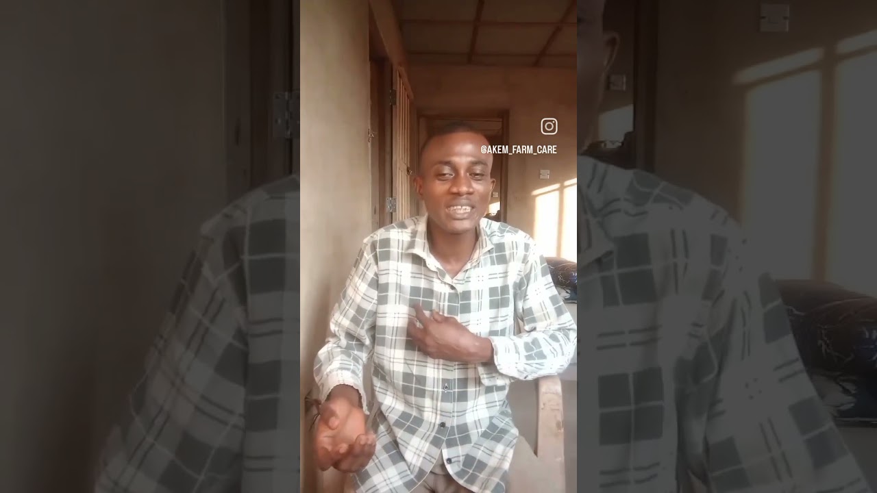 Feed Withdrawal Pattern easily explained 