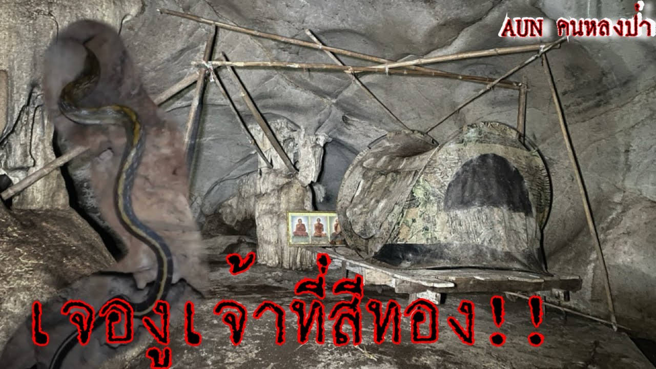 สำรวจถ้ำผาดำ เจองูเจ้าที่สีทองจำศีล ลึกสุดในถ้ำ