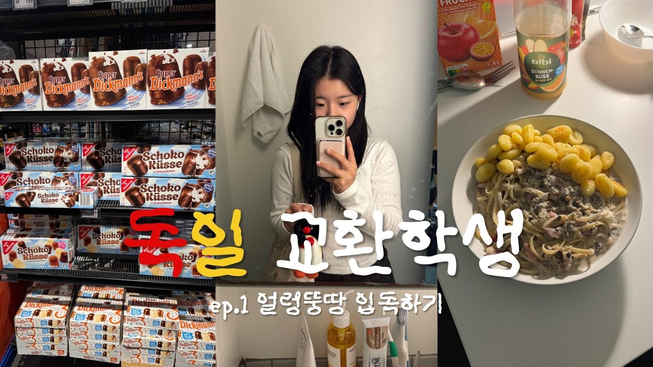 vlog 독일 교환학생 브이로그 | ep.1 얼렁뚱땅 입독하기