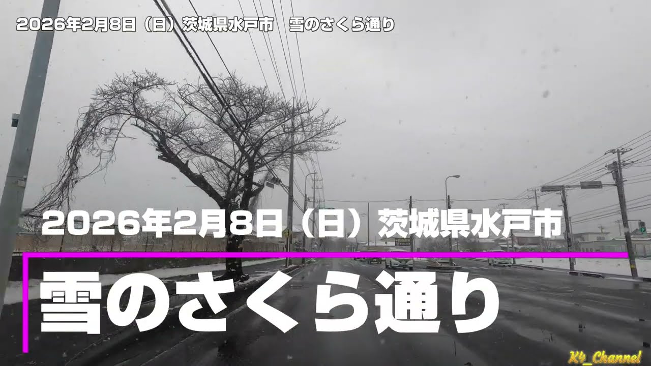 2026年2月8日（日）茨城県水戸市　雪のさくら通り