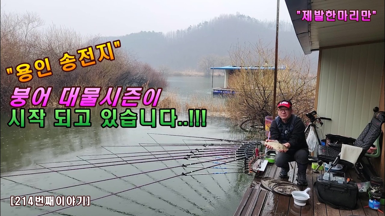 용인 송전지, 붕어 대물시즌이 시작되고 있습니다.!!![214번째 이야기]