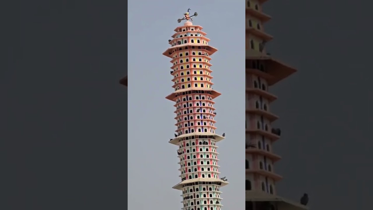 bird house tower 🗼# birdhouse #birdhouse to provide shelter to birds