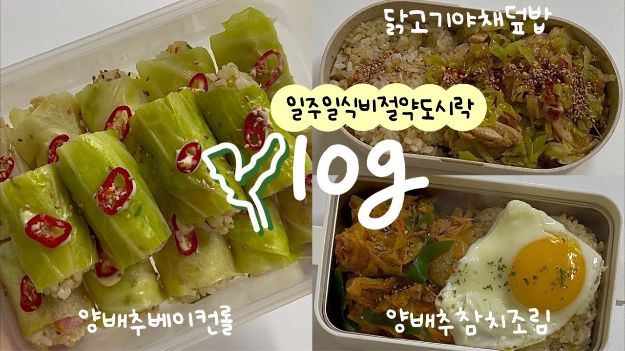 양배추 한통 순삭하는 일주일도시락🥬양배추베이컨쌈밥, 닭고기야채, 양배추참치조림