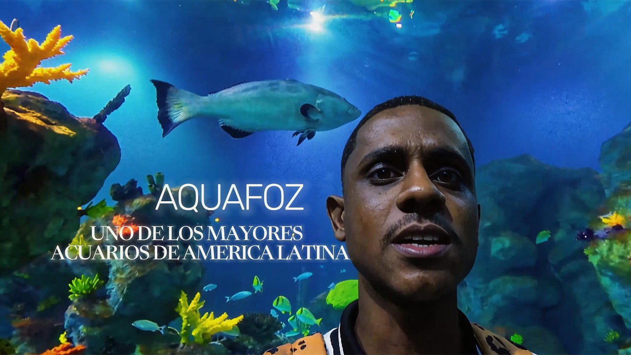 Visité uno de los acuarios más grandes de América Latina: AquaFoz.