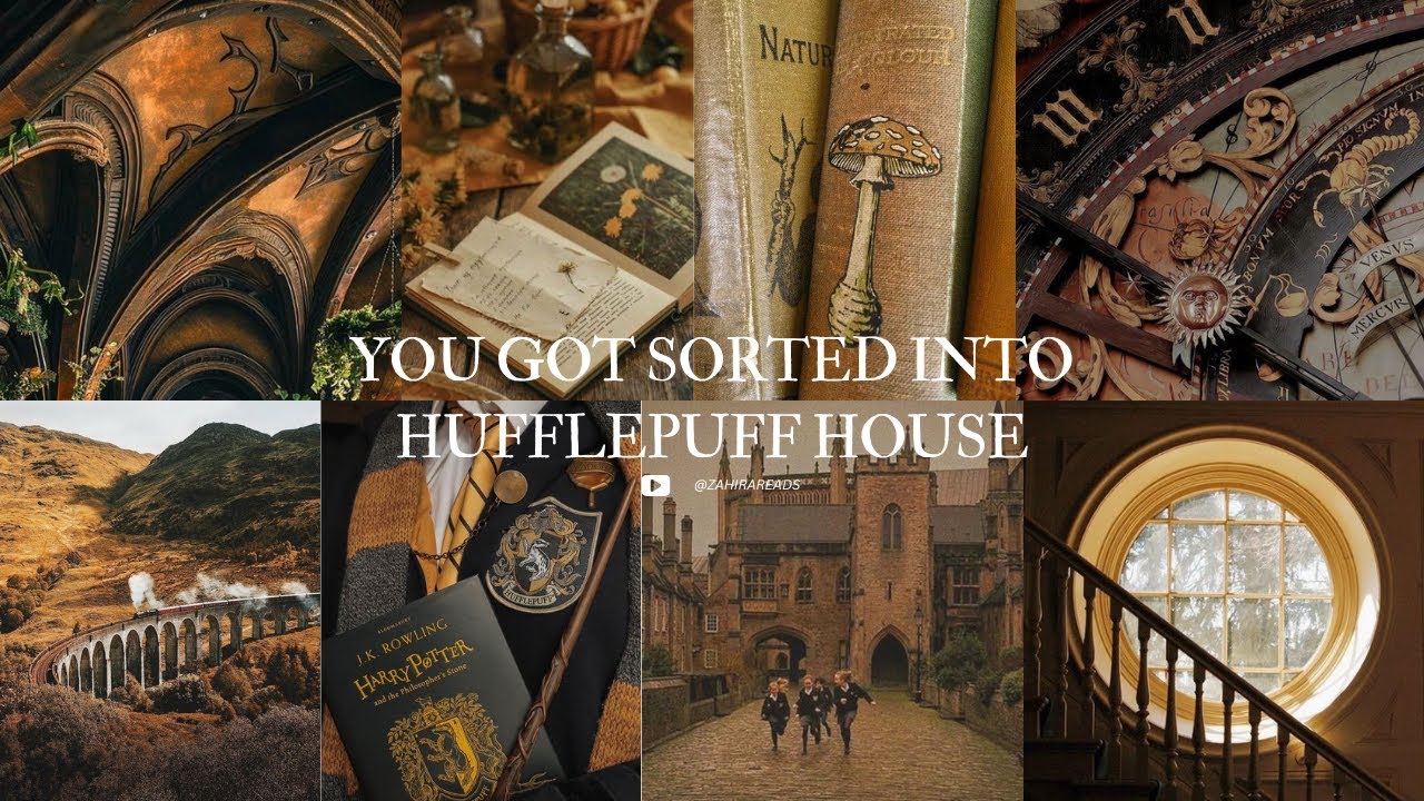 pov : you got sorted into hufflepuff house
