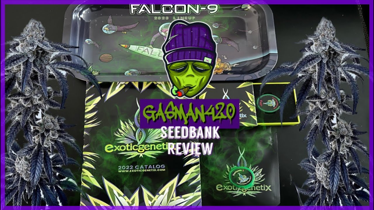 Is Exotic Genetix Worth The Price$$??!!!