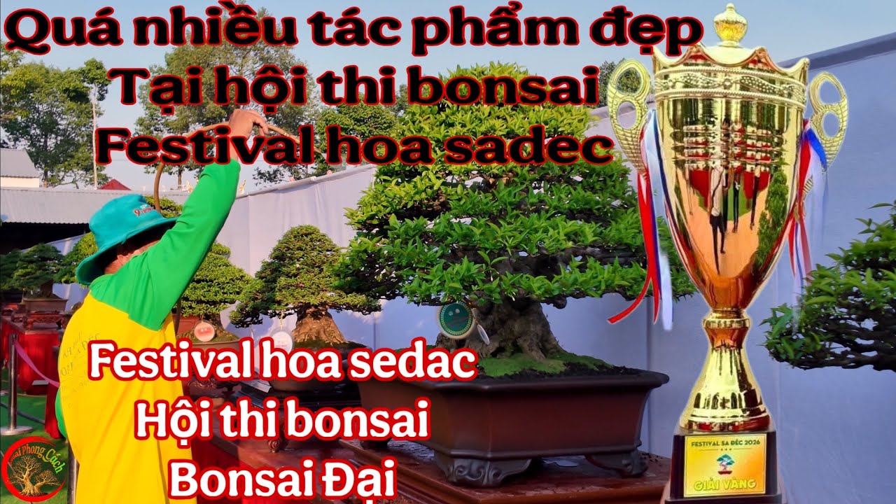 festival hoa sadec , Hội thi bonsai ( bonsai Đại ) clip 1/3
