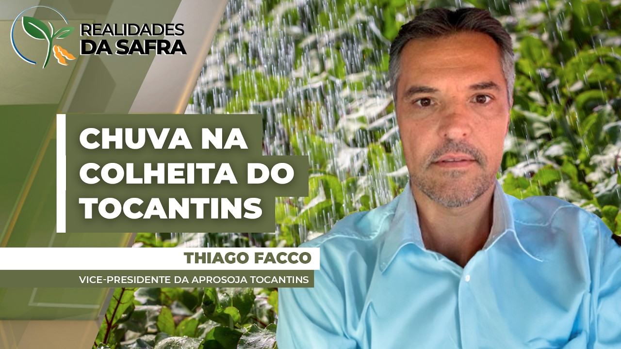Últimos dias muito chuvosos prejudicam a colheita da soja no Tocantins