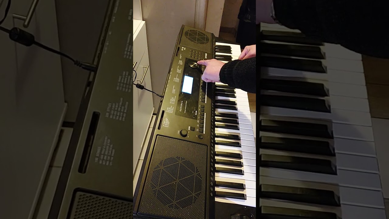Kurzweil KP100 -avihi hn
