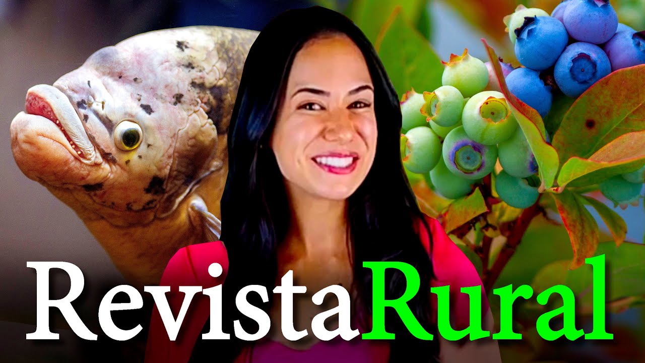PROGRAMA REVISTA RURAL - 02/11/2025
