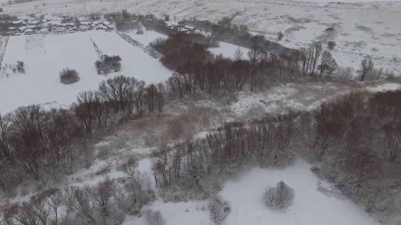 Назаровка зима 04122016 1