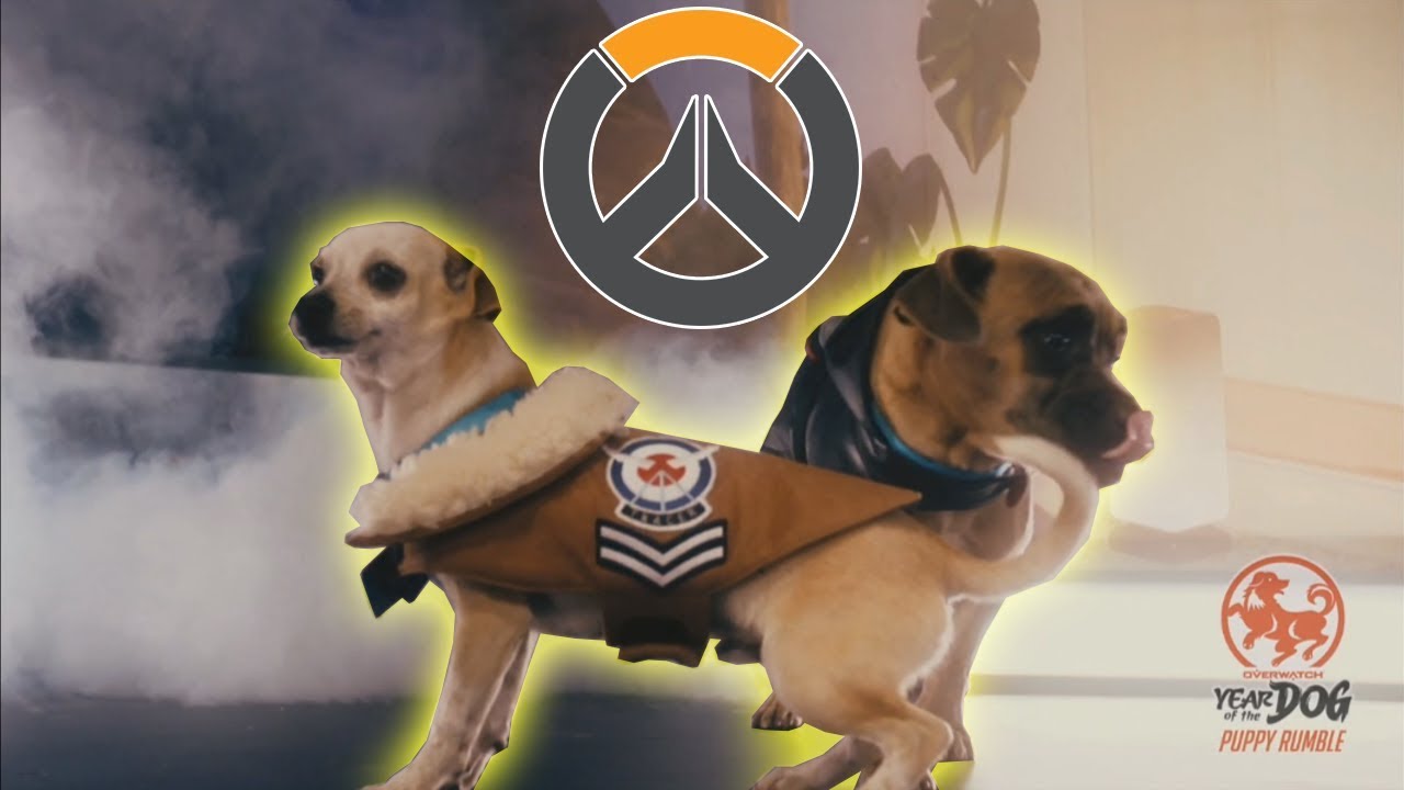 Twitch Chat Reaction to the Overwatch Puppy Rumble - Year of the Dog Event