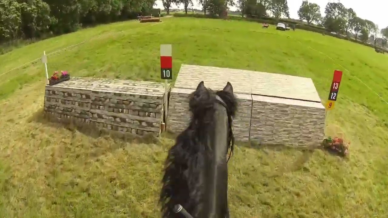 SGW Heerjansdam - Klasse M paarden - 1 juni 2025
