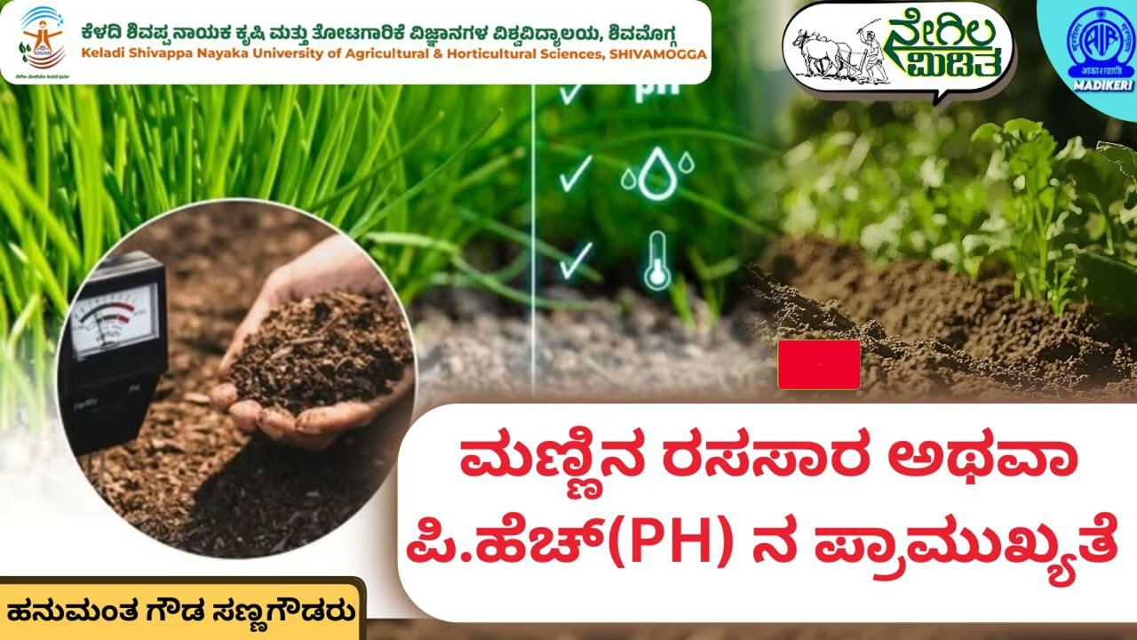 NEGILA MODITHA--ನೇಗಿಲ ಮಿಡಿತ | ಮಣ್ಣಿನ ರಸಸಾರ ಅಥವಾ ಪಿ. ಎಚ್.(PH) ನ ಪ್ರಾಮುಖ್ಯತೆ | ಹನುಮಂತ ಗೌಡ ಸಣ್ಣಗೌಡರು