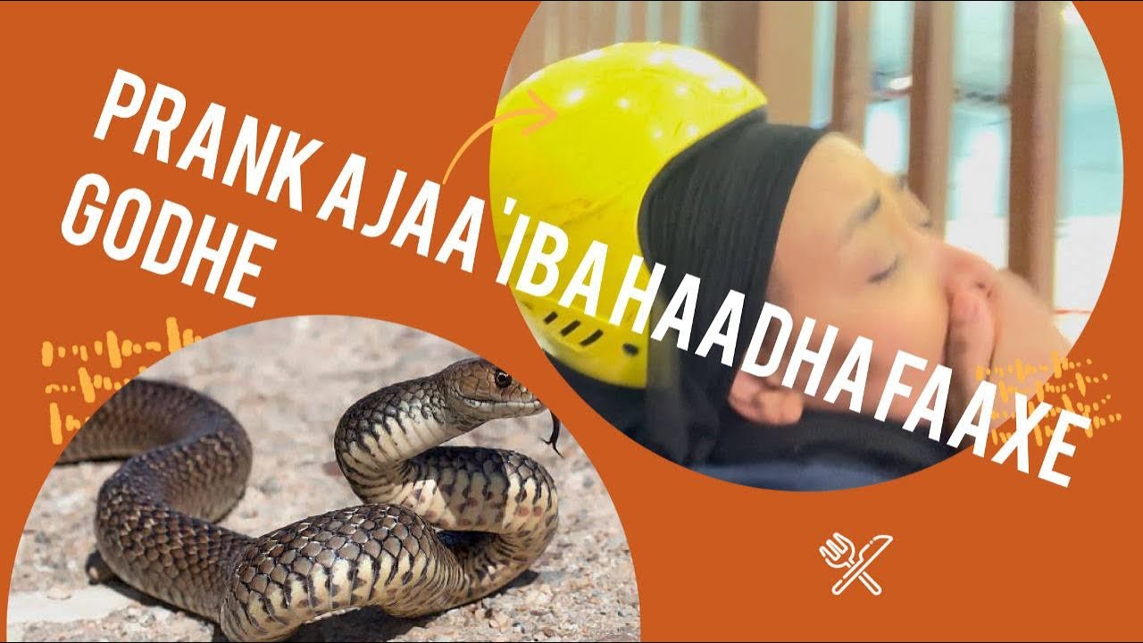 Prank bofaan haadha faaxe godhe 😂🐍
