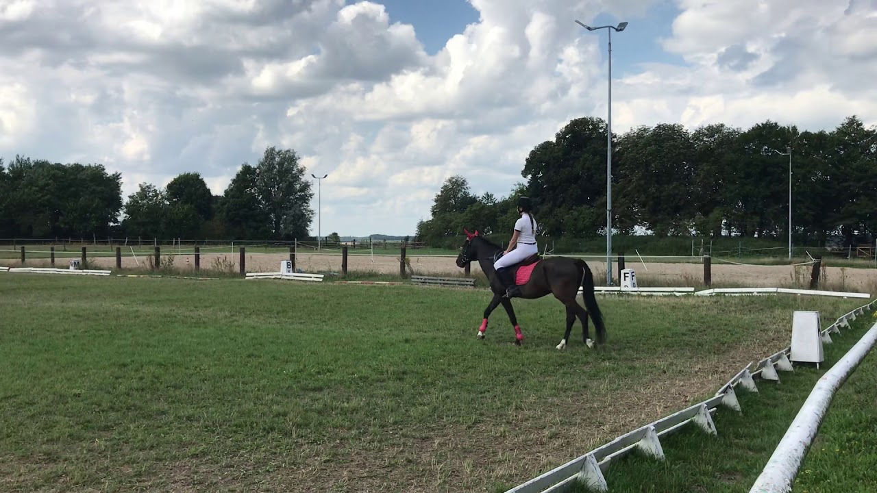 Brązowa odznaka jeździecka - czworobok (ujeżdżenie) 2018 BOJ Nadia i Narvik