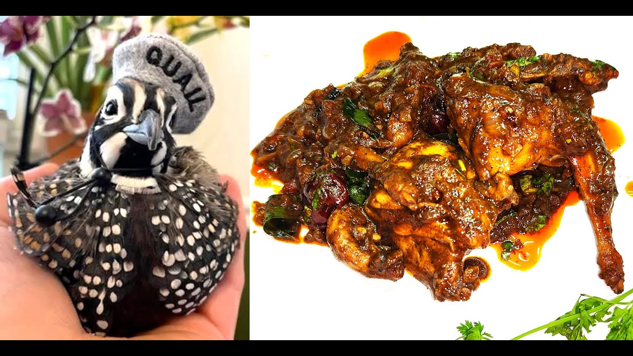 Chettinad Quail😋Pepper Fry | செட்டிநாடு🐦காடை மிளகு வறுவல் #food #chicken #tasty #youtube #video #abc