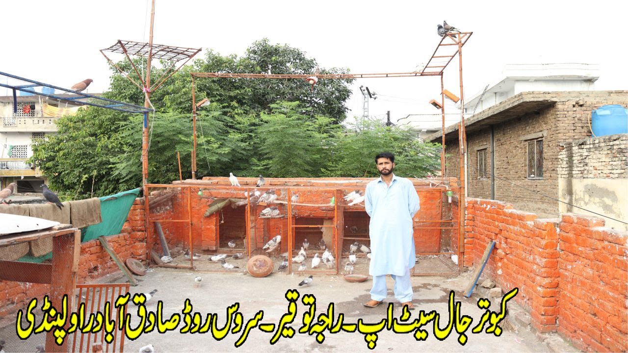 Kabootar Jaal Setup  ! Pigeons Cage Setups ! Raja Tauqeer Serves Road Sadiqabad Rawalpindi
