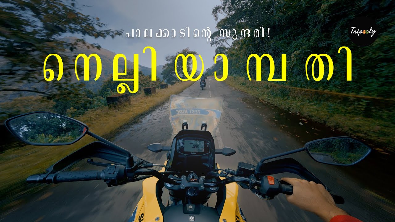 Route to Nelliyampathy, Palakkad | പാലക്കാടിന്റെ സുന്ദരിയെ തേടി | Forest Route, A Cinematic Vlog