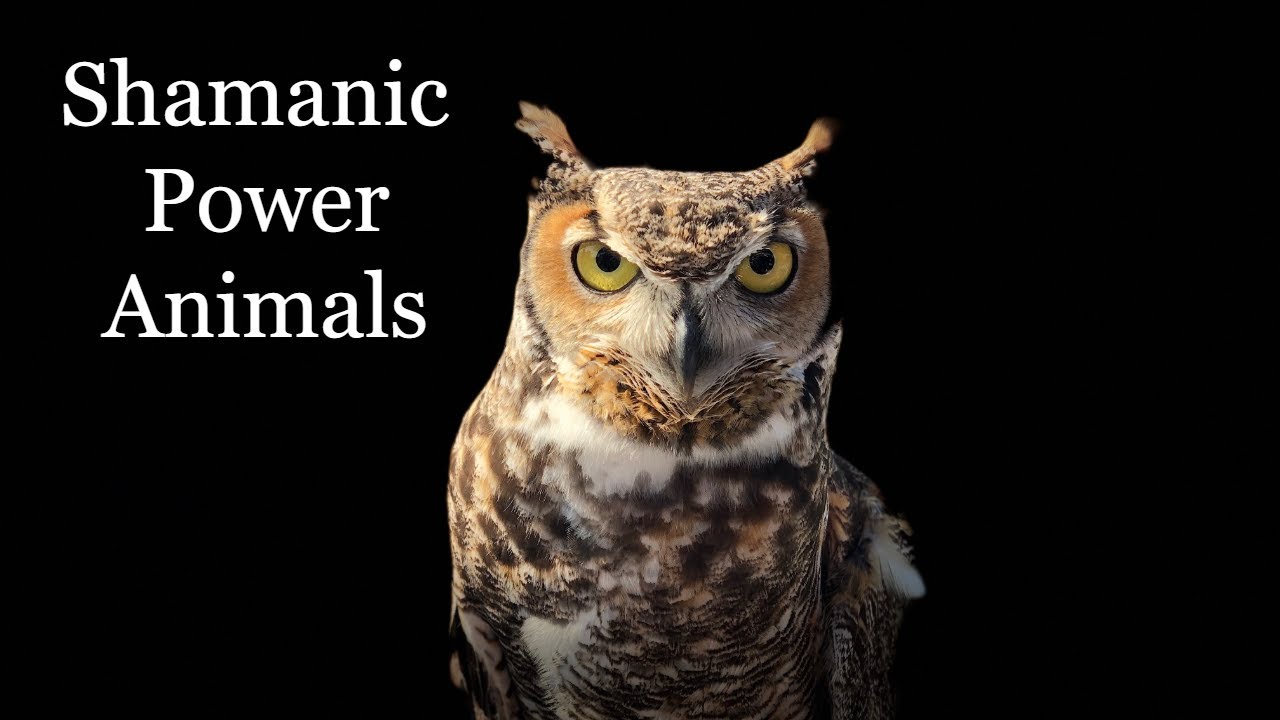 All About Shamanic Power Animals