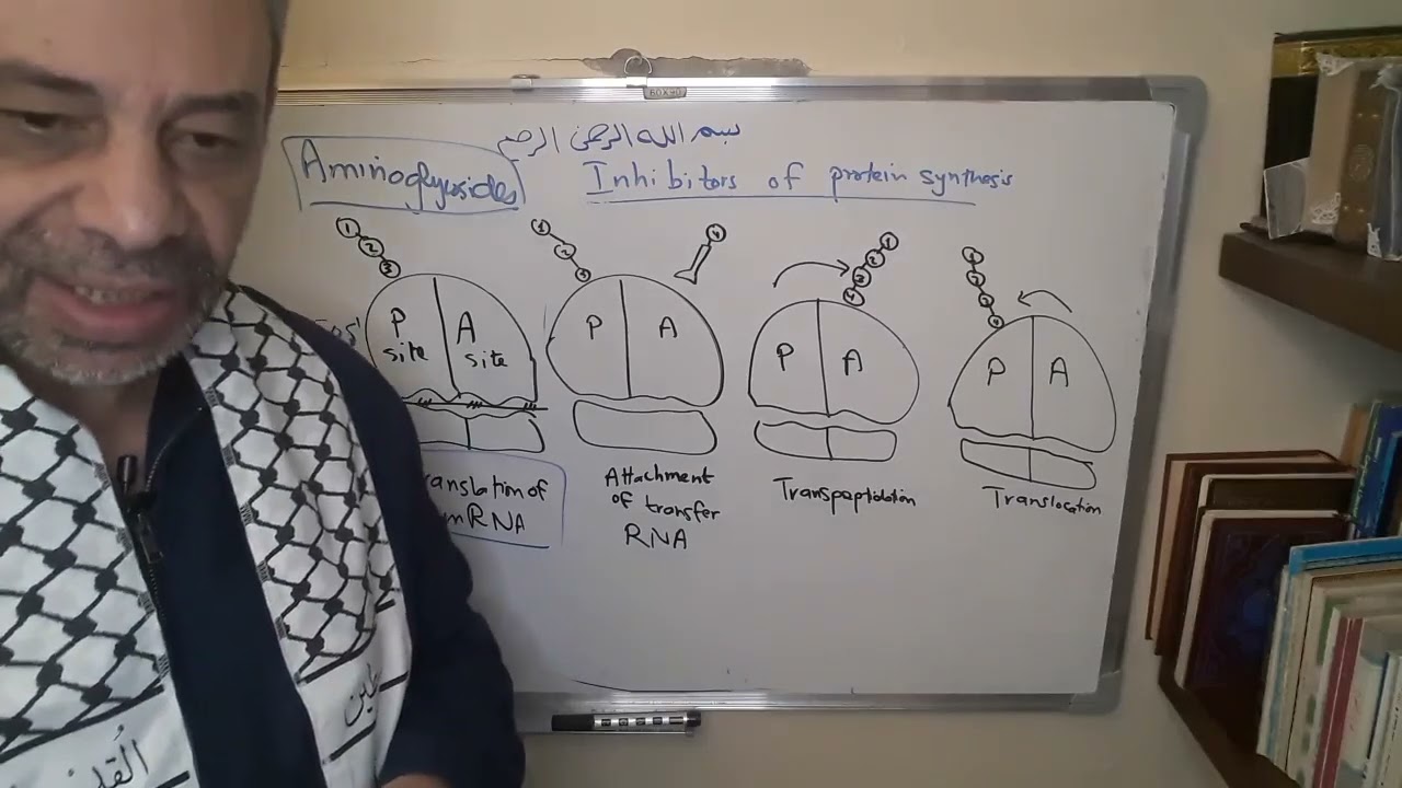 Module 310 - Lecture 33- part 1: Inhibitors of bacterial protein synthesis: Aminoglycosides.