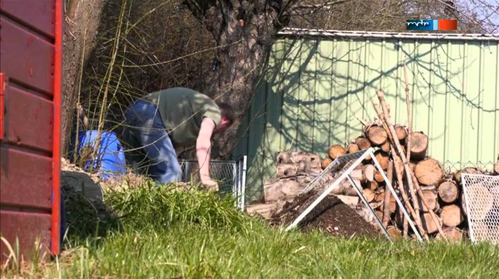 Asseln im Garten