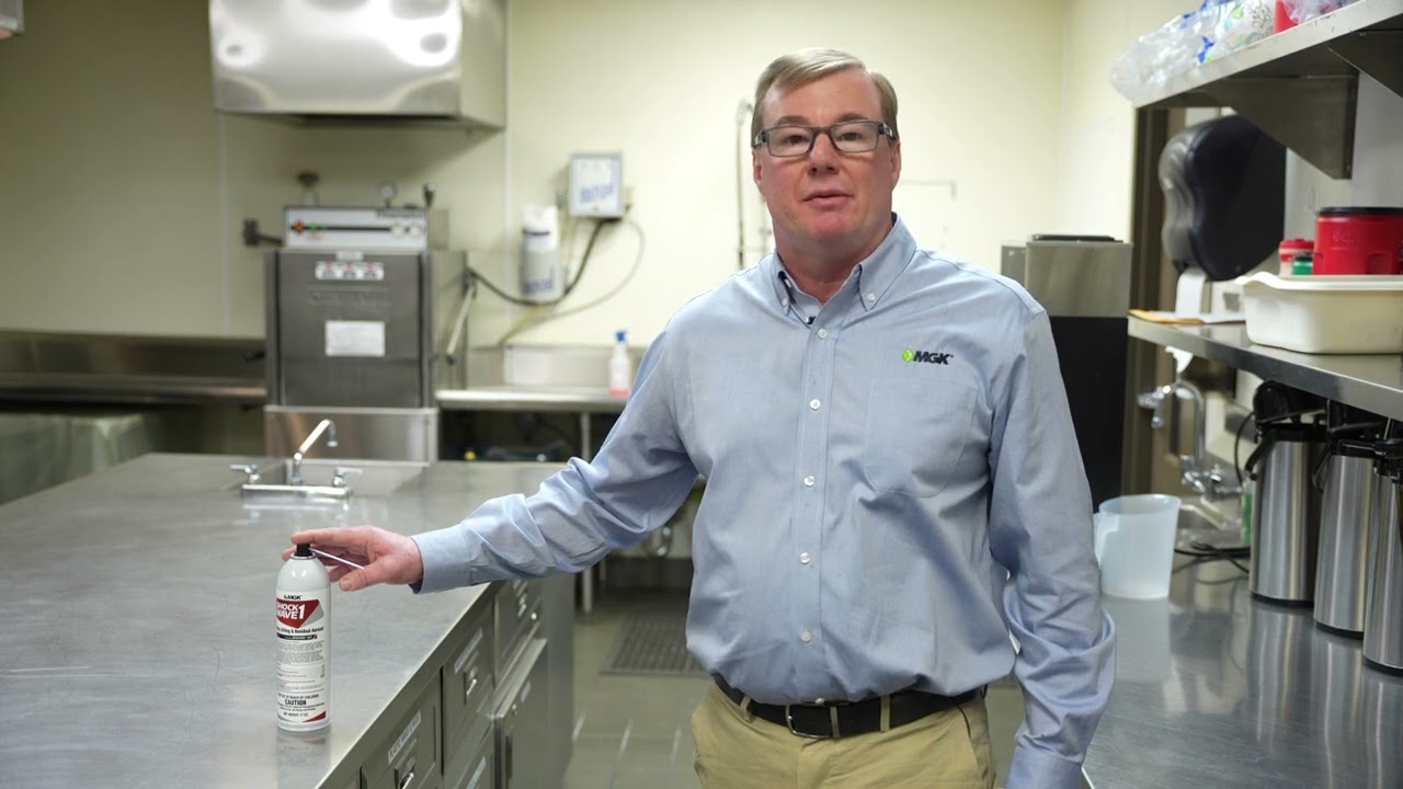 MGK&rsquo;s Professional Cockroach Control Protocol in Commercial Kitchens: Medium Level Infestations