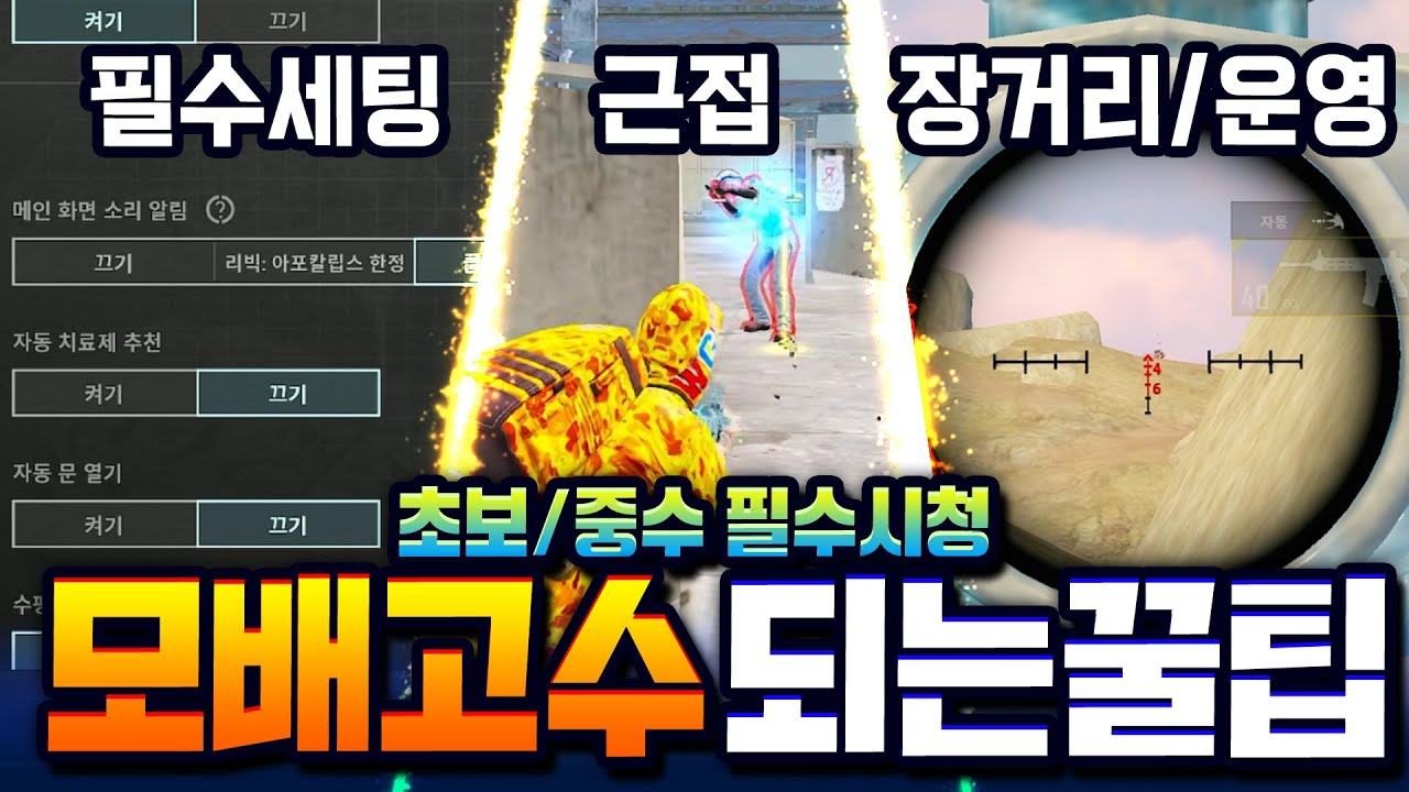 모르면 모배인생 손해보는 
