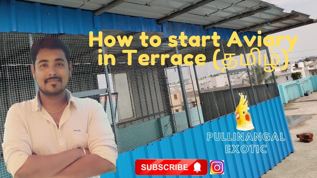 Terrace Aviary | Protect aviary from heat using Thermal insulation | How to Start Aviary in Terrace