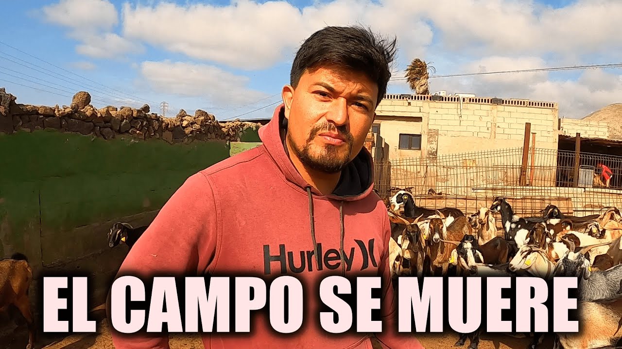 El CAMPO SE VA MURIENDO LENTAMENTE, nos cuenta este JOVEN COLOMBIANO.