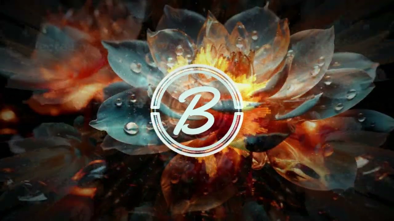 Die Flippers - Lotosblume (Bitshakerz Remix)