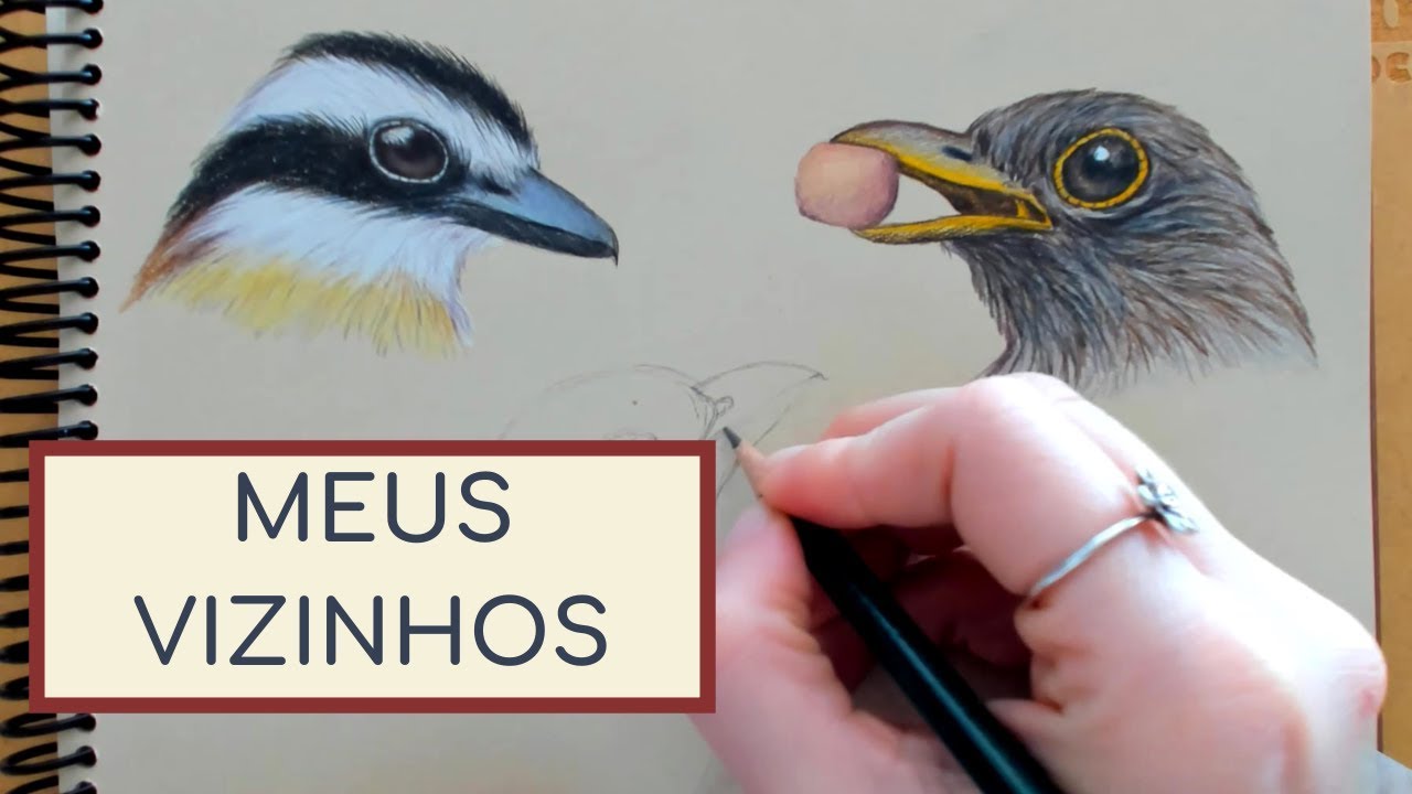 Desenhando aves de São Paulo