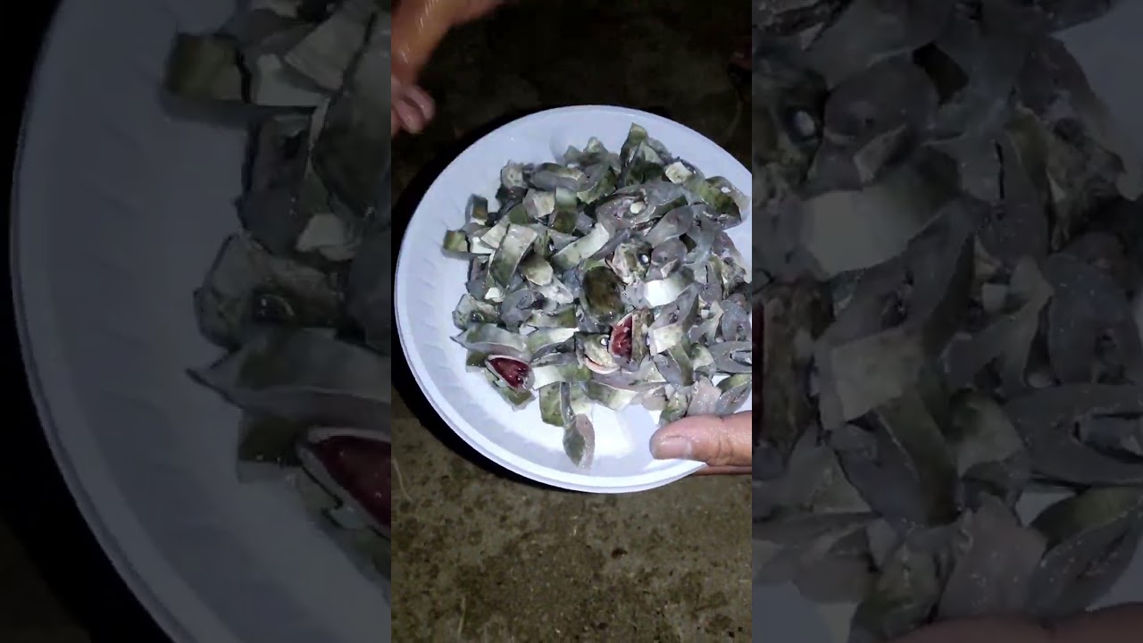 fresh kinilaw na danggit bohol style | #anglermanol #fishing #anglerph