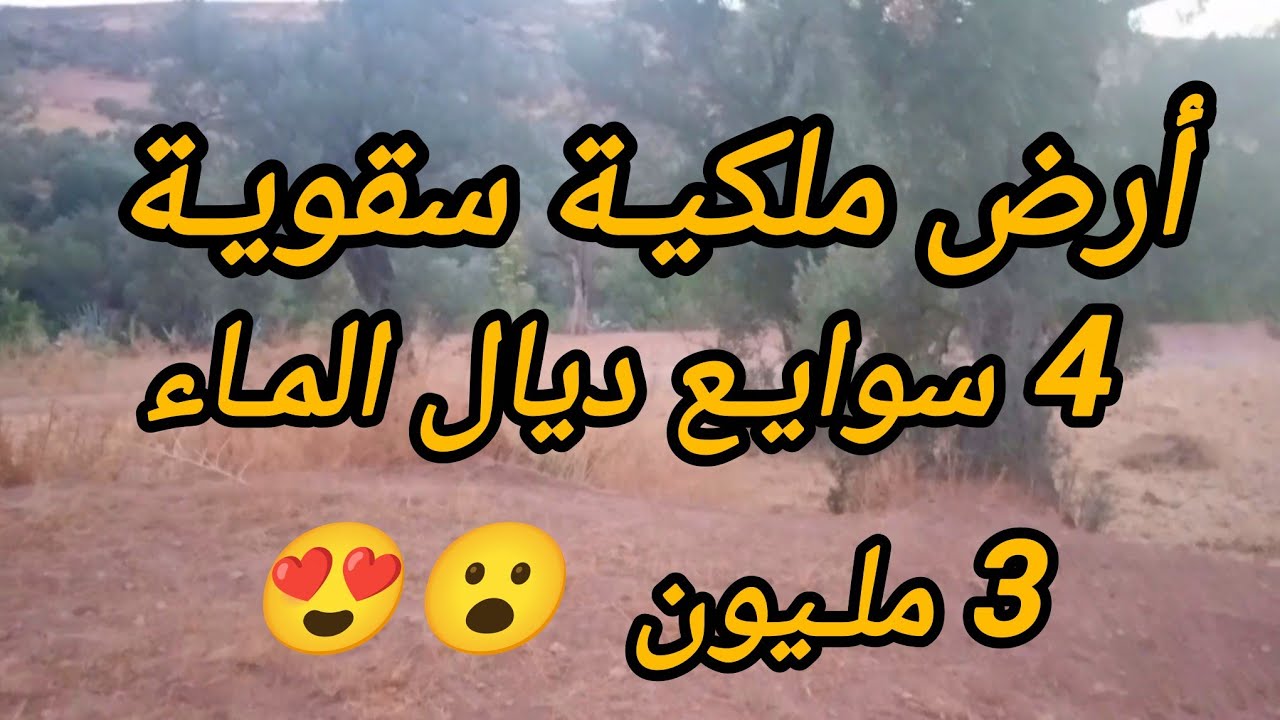 2025/7/19 : أرض ملكية تقريبا 1000 متر سقوية ( 4 سوايع ديالها ) بثمن 3 مليون . الهاتف : 0652902061