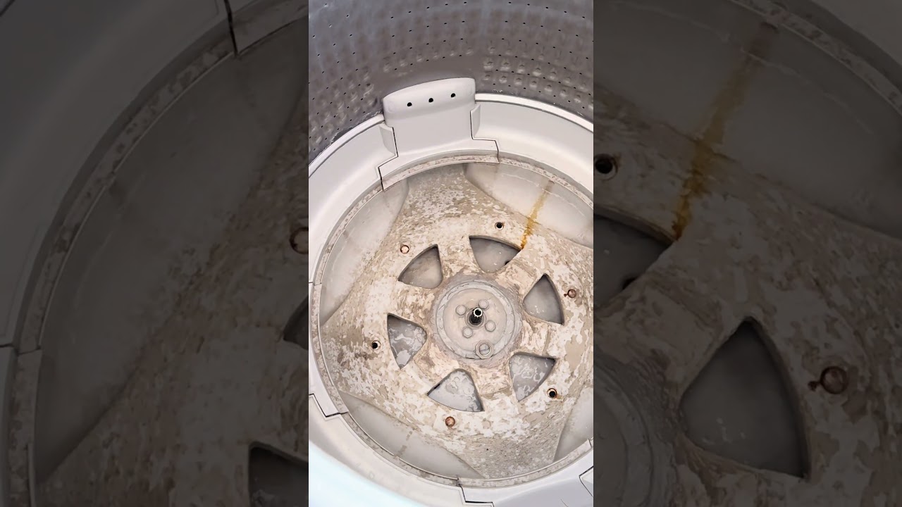HAIER Washing Machine cleaning complete procedure