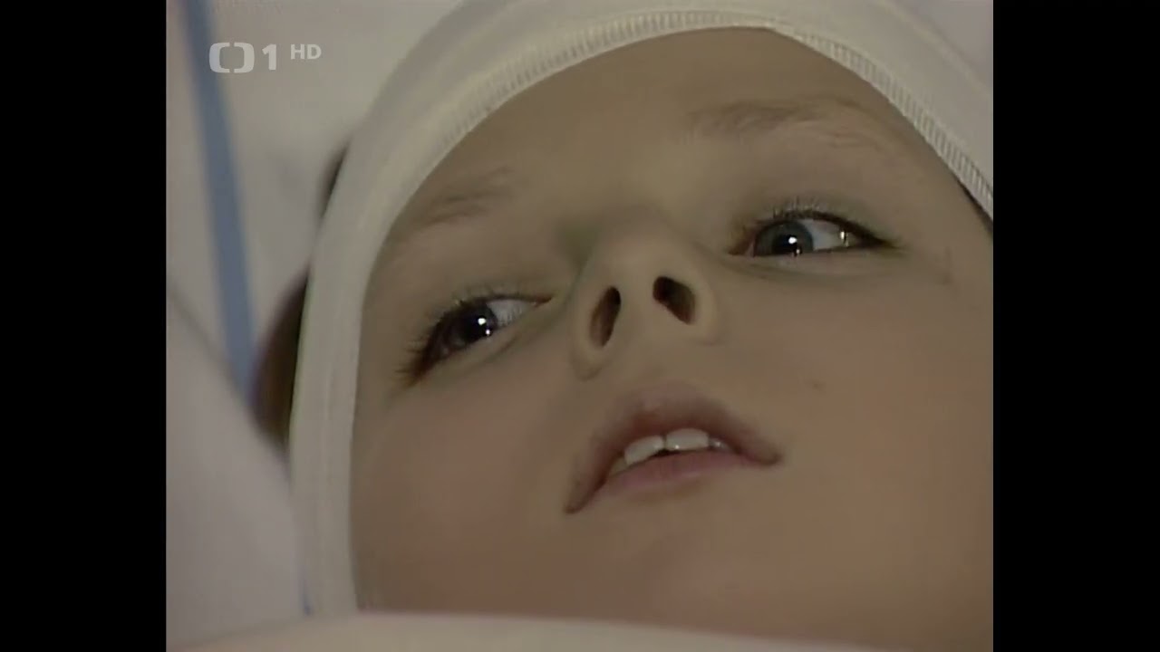 Hrdlička (1986) - tv film