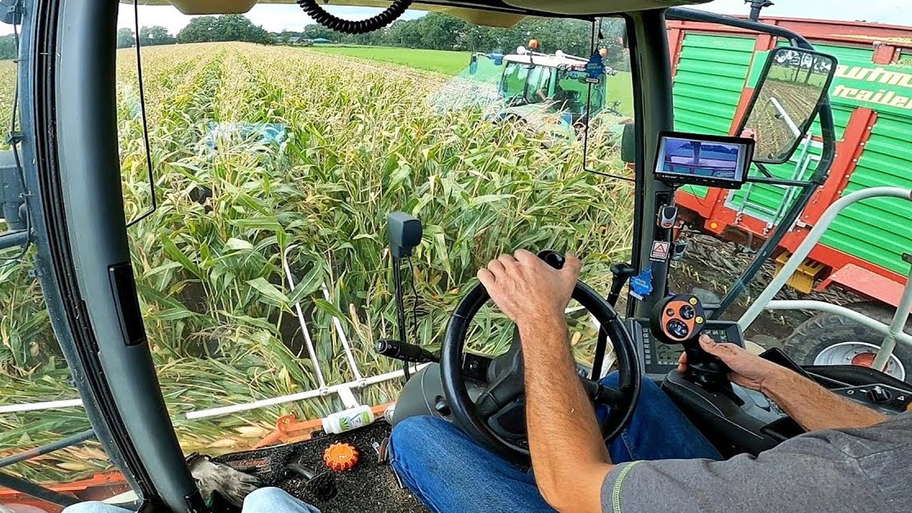 Cab View | Mais Silage | Claas Jaguar | 't Edelhert | 2020
