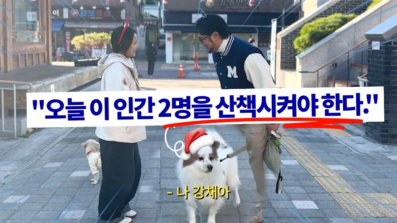 [유기견 산책봉사 하는 방법 알려드림] 댕댕아 모멍냥 10화