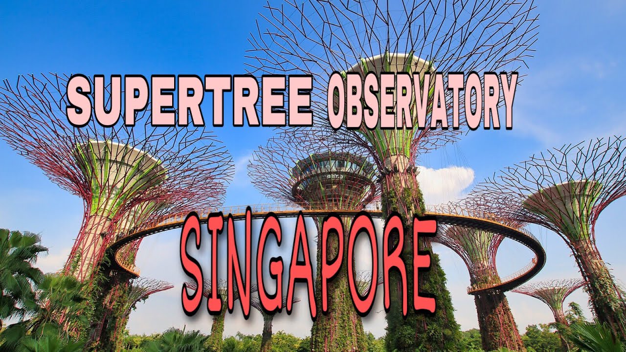 SUPERTREE OBSERVATORY in GARDENS BY THE BAY SINGAPORE #Supertreeobservatory #walkingtour #singapore