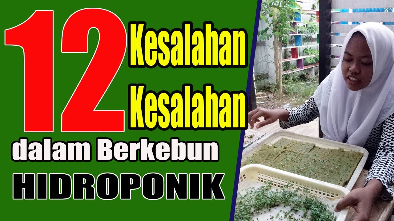 12 Kesalahan - Kesalahan yang Sering dilakukan dalam Berkebun Hidroponik #naikohydroponik