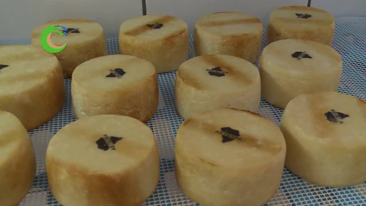 MEJOR QUESO DE CANARIAS 2016