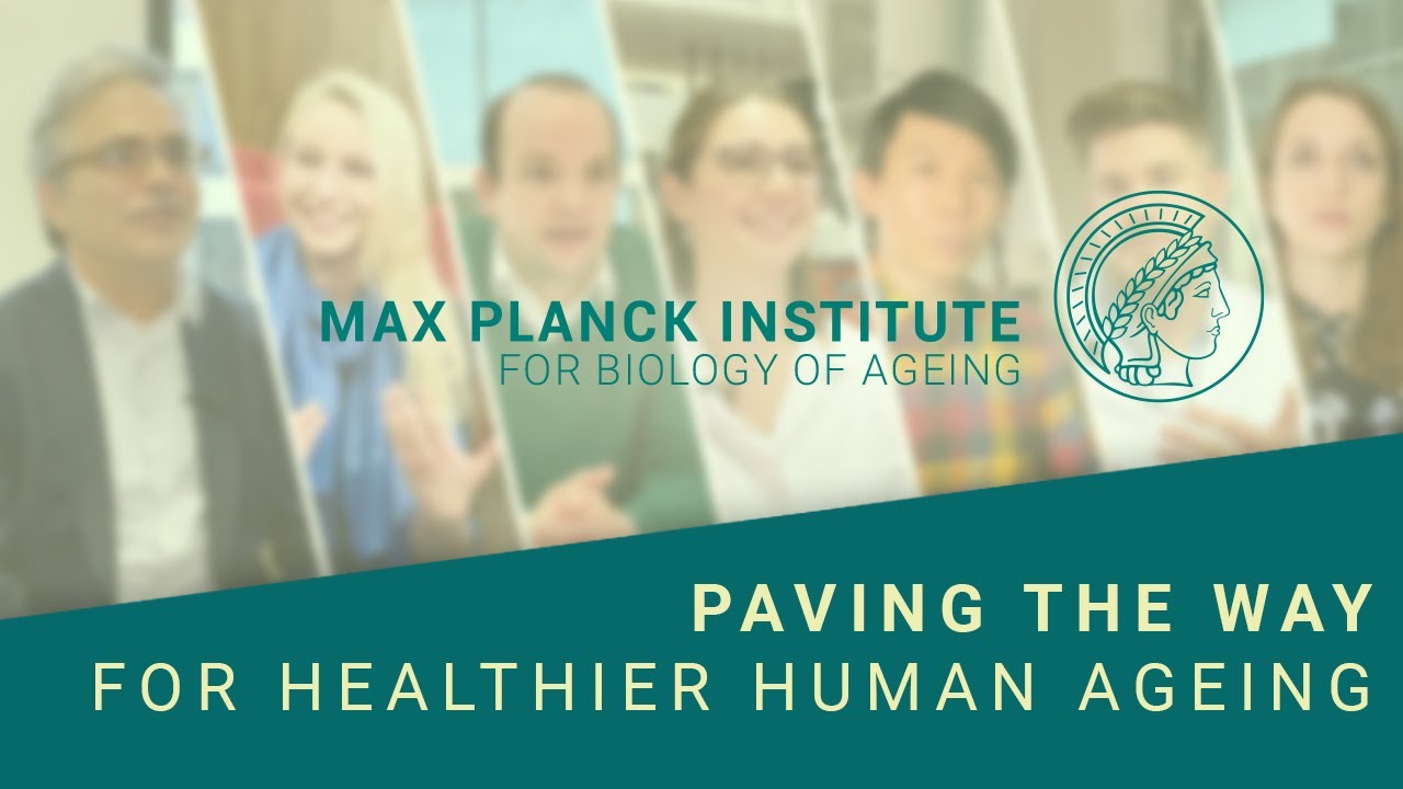 Paving the way for healthier human ageing: The Max Planck Institute for Biology of Ageing