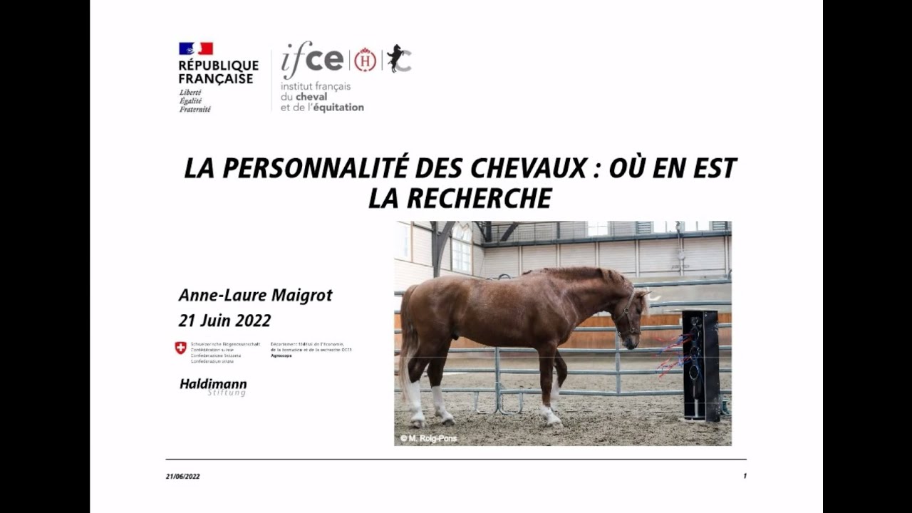 La personnalité des chevaux  Où en est la recherche - Marie-Laure Maigrot