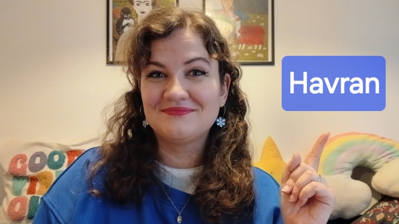 Maturitní rozbor: Havran (E. A. Poe)