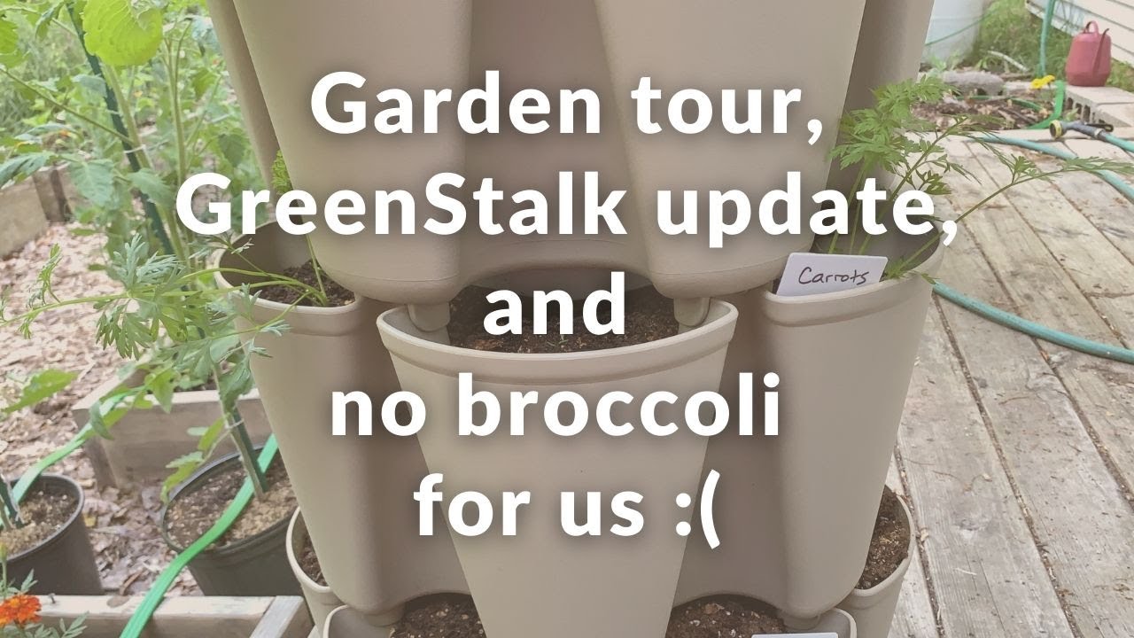 Garden tour, GreenStalk update, and no broccoli for us :(   [June 2021]